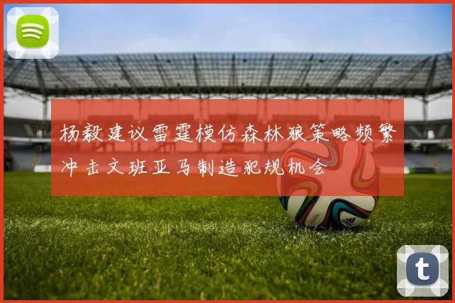 杨毅建议雷霆模仿森林狼策略频繁冲击文班亚马制造犯规机会